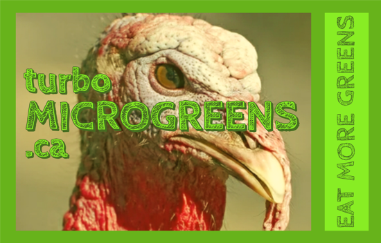 turboMicrogreens.ca logo
